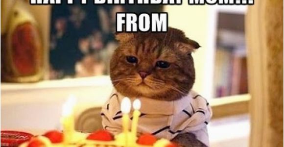 Birthday Memes for Mom Happy Birthday Mom Memes Wishesgreeting