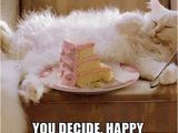 Birthday Memes with Cats Happy Birthday Meme Cats Birthday Memes T Happy