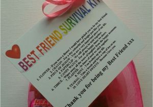 Birthday Presents for Good Friends Best Friend Survival Kit Birthday Christmas Buy 2 Get 1