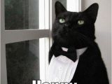 Black Cat Birthday Meme 1 Cat Memes Quickmeme