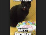 Black Cat Birthday Meme 45 Cat Birthday Memes Wishesgreeting