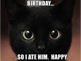 Black Cat Birthday Meme A Little Bird told Me It 39 S Your Birthday so I ate