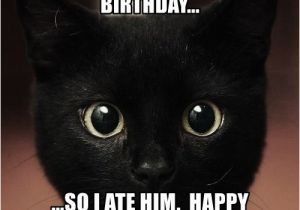 Black Cat Birthday Meme A Little Bird told Me It 39 S Your Birthday so I ate