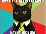 Black Cat Birthday Meme Beautiful Cat Happy Birthday Memes Pics Good Morning