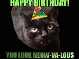 Black Cat Birthday Meme Her Birthday is Funny Happy Birthday to Her She Day B