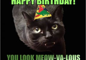 Black Cat Birthday Meme Her Birthday is Funny Happy Birthday to Her She Day B