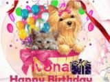 Blingee Birthday Cards Happy Birthday Ivona My Blingee Sets Pinterest Happy