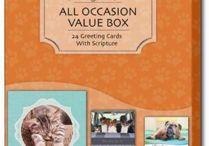 Boxed Christian Birthday Cards Playful Pets All Occasion 24 Christian Greeting Cards