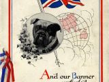 British Birthday Cards Historic Greetings Cards Give A Glimpse Of Life On the Wwi