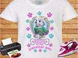Brother Of the Birthday Girl Shirt Brother Of the Birthday Girl T Shirt Paw Patrol Everest