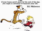 Calvin and Hobbes Happy Birthday Quotes Calvin and Hobbes Birthday Quotes Quotesgram Calvin