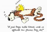 Calvin and Hobbes Happy Birthday Quotes Calvin and Hobbes Birthday Quotes Quotesgram