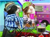 Camping Birthday Meme Funny Guinea Pig Birthday Card Happy Campers Camping