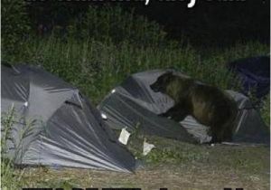 Camping Birthday Meme Zucchini Summer