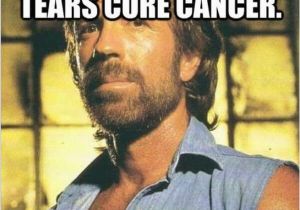 Cancer Birthday Memes 43 Chuck norris Memes that are so Badass they Should Get