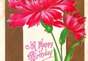 Carnation Birthday Flowers Antique Images Free Vintage Flower Graphic Pink