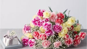 Carnation Birthday Flowers Birthday Flower Gift Birthday Flowers Gifts Uk Bunches