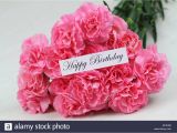 Carnation Birthday Flowers Happy Birthday Card with Pink Carnation Flowers Stock