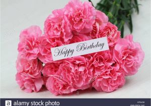 Carnation Birthday Flowers Happy Birthday Card with Pink Carnation Flowers Stock