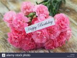 Carnation Birthday Flowers Happy Birthday Card with Pink Carnation Flowers Stock