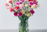 Carnation Birthday Flowers Spray Cascade Spray Carnations Bouquet Bunches Co Uk