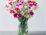 Carnation Birthday Flowers Spray Cascade Spray Carnations Bouquet Bunches Co Uk