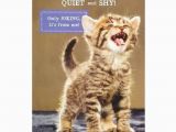 Cat Birthday Card Sayings 25 Elegant Funny Birthday Cards with Cats Mavraievie