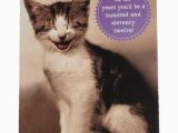 Cat Birthday Card Sayings 45 Best Cat Cards Images On Pinterest Cat Cards Cats