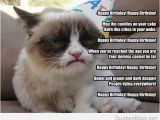 Cat Birthday Card Sayings Free Funny Happy Birthday Cards to Download