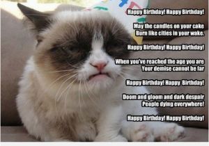 Cat Birthday Card Sayings Free Funny Happy Birthday Cards to Download