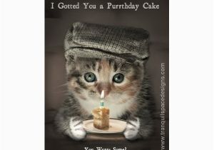 Cat Birthday Card Sayings Happy 3rd Birthday Maddie Pet forums Community