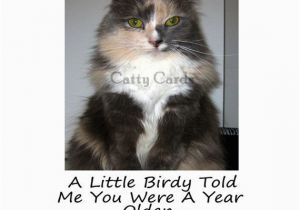 Cat Birthday Card Sayings Karma the Cat ate that Little Bird that Wanted to Wish You