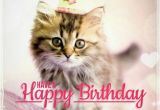 Cat Birthday E Card Best Happy Birthday Cat Meme