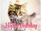 Cat Birthday E Card Best Happy Birthday Cat Meme