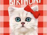 Cat Birthday E Card Cat Birthday Wishes Wishes Greetings Pictures Wish Guy