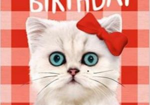 Cat Birthday E Card Cat Birthday Wishes Wishes Greetings Pictures Wish Guy