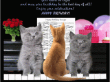 Cat Birthday E Card Cats Birthday Boogie Free Funny Birthday Wishes Ecards