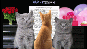 Cat Birthday E Card Cats Birthday Boogie Free Funny Birthday Wishes Ecards