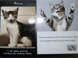 Cat Birthday E Card Cute Cat Birthday Quotes Quotesgram