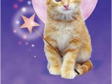 Cat Birthday E Card Funny Birthday Ecard Quot Cat Fairy Quot From Cardfool Com