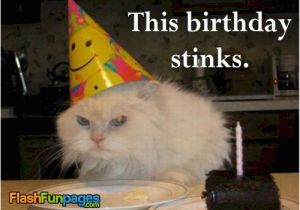 Cat Birthday E Card Funny Cat Pictures Ecards for Facebook