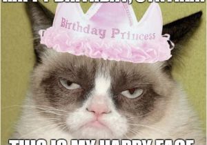 Cat Birthday Meme Generator 1000 Ideas About Birthday Meme Generator On Pinterest