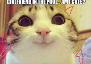 Cat Birthday Meme Generator 25 Best Ideas About Cat Meme Generator On Pinterest