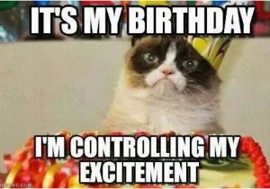 Cat Birthday Meme Generator Grumpy Cat Birthday Birthday Pinterest Best Grumpy