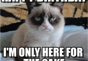 Cat Birthday Meme Generator Grumpy Cat Birthday Grumpy Cat Happy Birthday I 39 M