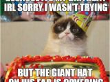 Cat Birthday Meme Generator Grumpy Cat Birthday Memes Imgflip