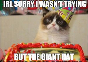 Cat Birthday Meme Generator Grumpy Cat Birthday Memes Imgflip