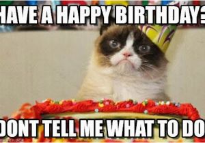 Cat Birthday Meme Generator Have A Happy Birthday Grumpy Cat Birthday Meme On
