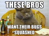 Cat Birthday Meme Generator Sad Birthday Cat Meme Generator Image Memes at Relatably Com