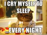 Cat Birthday Meme Generator Sad Birthday Cat Meme Generator Image Memes at Relatably Com